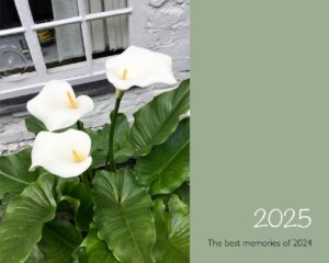 Calendar 2025